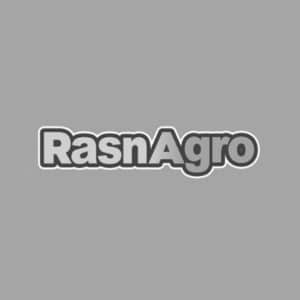 (300 x 300) (20)